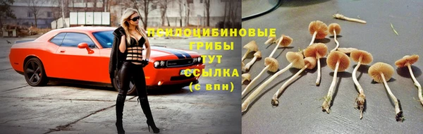 ALPHA PVP Верхнеуральск