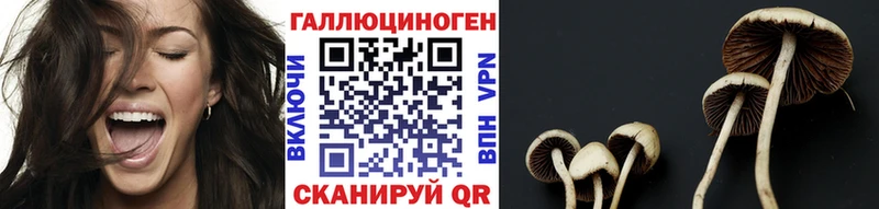 даркнет сайт Яровое ссылка на мегу ТОР Галлюциногенные грибы Psilocybine cubensis